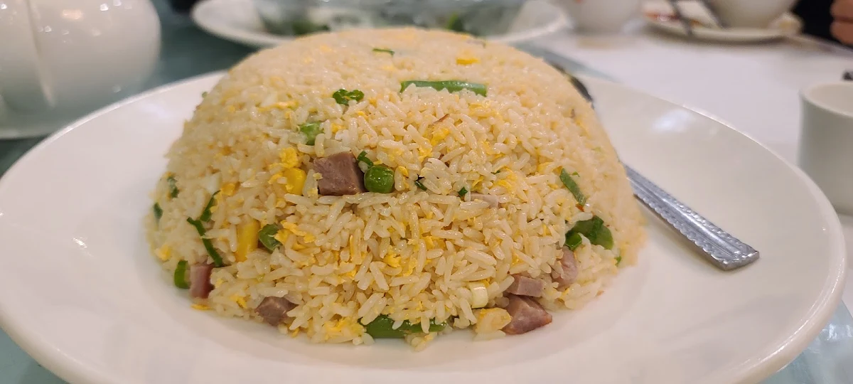 emperors palace fried rice 皇城炒饭